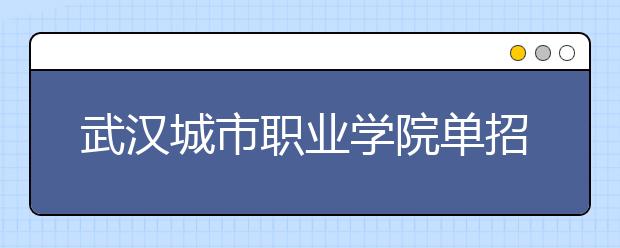 武汉城市职业学院单招2020年单独招生简章