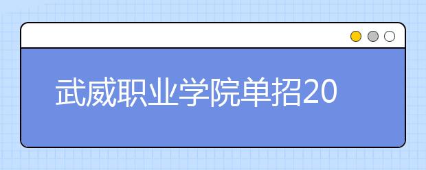 武威职业学院单招2020年单独招生报名时间、网址入口