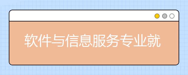 軟件與信息服務(wù)專業(yè)就業(yè)前景分析如何?