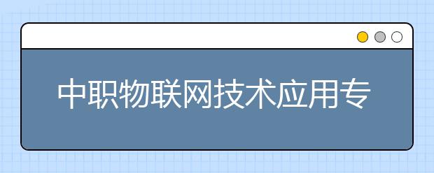 中職物聯(lián)網(wǎng)技術(shù)應(yīng)用專業(yè)主要學(xué)什么?