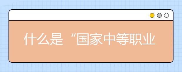 什么是“國家中等職業(yè)教育改革發(fā)展示范學(xué)校”？