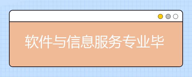 軟件與信息服務(wù)專業(yè)畢業(yè)出來干什么？