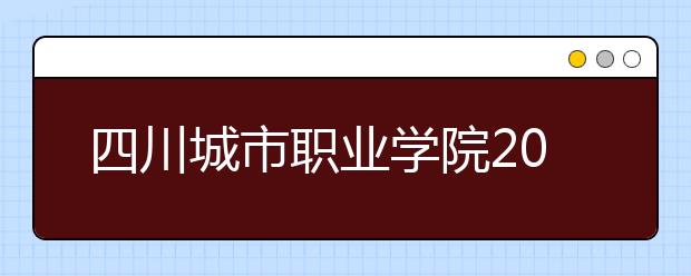 四川城市职业学院2022年招生代码