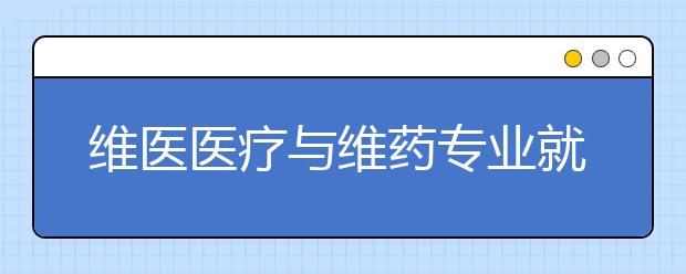 維醫(yī)醫(yī)療與維藥專業(yè)就業(yè)方向有哪些？