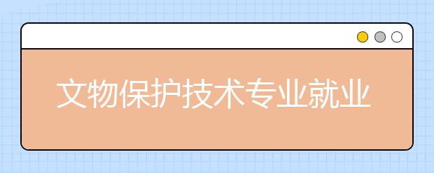 文物保護技術(shù)專業(yè)就業(yè)方向有哪些？