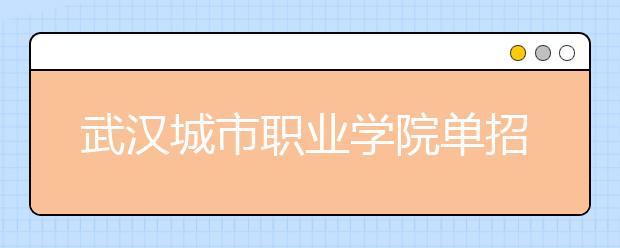 武汉城市职业学院单招2020年单独招生成绩查询、网址入口