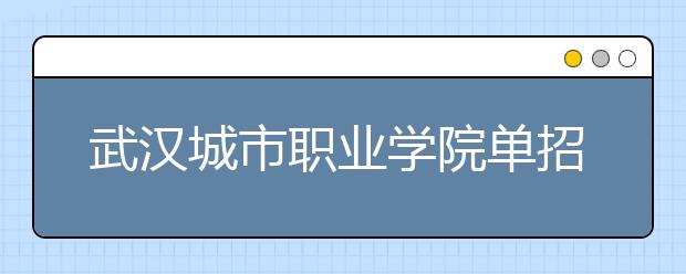 武汉城市职业学院单招2020年单独招生简章