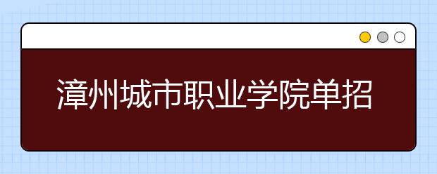 漳州城市职业学院单招2019年单独招生成绩查询、网址入口