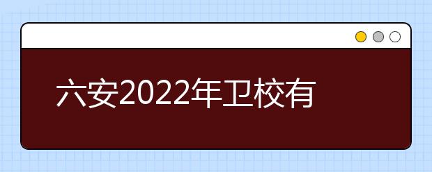 六安2022年卫校有哪些专业适合女生