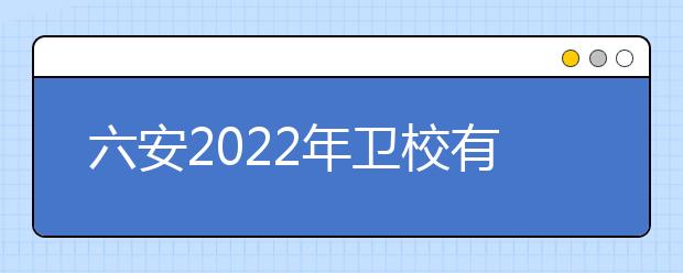 六安2022年衛(wèi)校有哪些專(zhuān)業(yè)適合女生