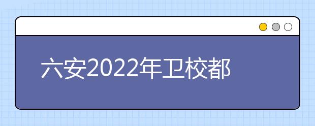 六安2022年衛(wèi)校都有什么專(zhuān)業(yè)適合女生