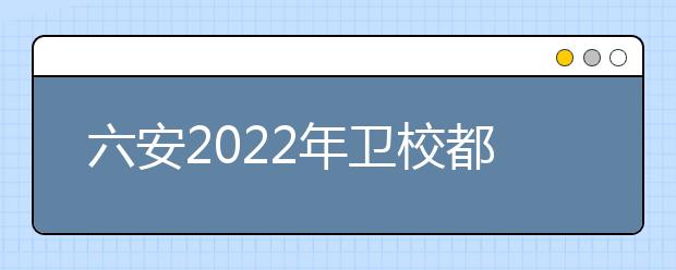 六安2022年卫校都有什么专业适合女生