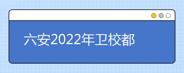 六安2022年衛(wèi)校都有什么專業(yè)適合女生