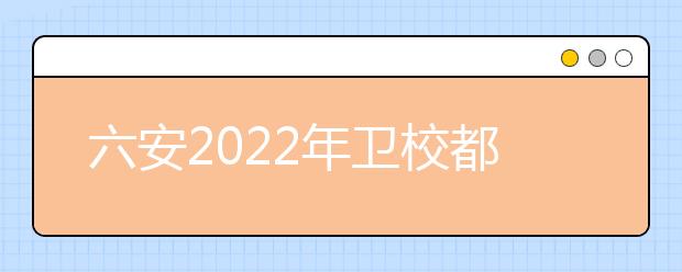 六安2022年衛(wèi)校都有什么專業(yè)適合女生