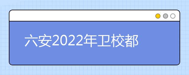 六安2022年卫校都有什么专业适合女生