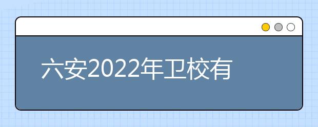 六安2022年衛(wèi)校有哪些專業(yè)適合女生