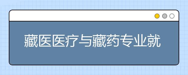 藏医医疗与藏药专业就业方向有哪些？