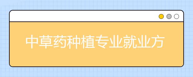 中草藥種植專業(yè)就業(yè)方向有哪些？