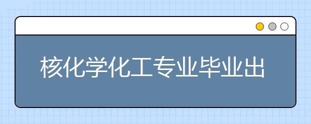 核化学化工专业毕业出来干什么？