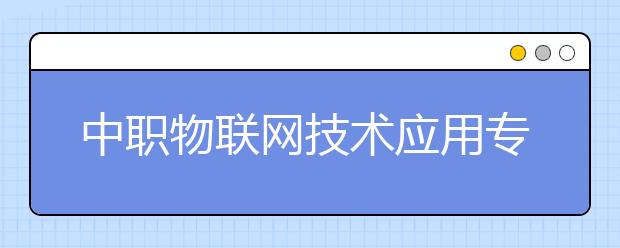 中職物聯(lián)網(wǎng)技術(shù)應(yīng)用專業(yè)學出來有什么前途?