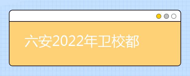 六安2022年衛(wèi)校都有什么專(zhuān)業(yè)適合女生