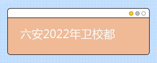 六安2022年卫校都有什么专业适合女生