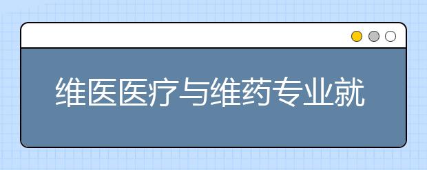 維醫(yī)醫(yī)療與維藥專業(yè)就業(yè)方向有哪些？