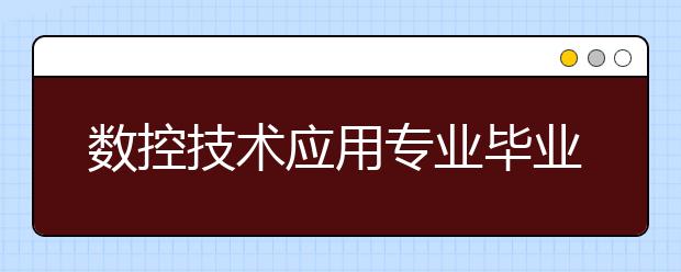 數(shù)控技術(shù)應(yīng)用專業(yè)畢業(yè)出來干什么？