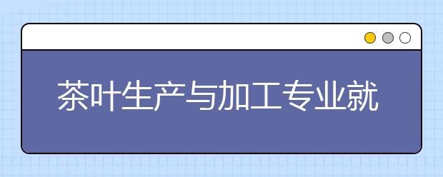 茶叶生产与加工专业就业方向有哪些？