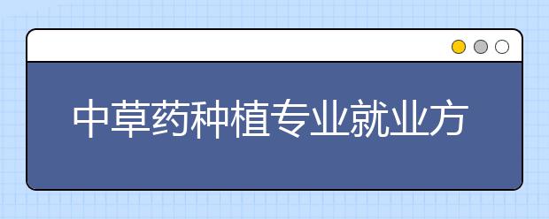 中草藥種植專業(yè)就業(yè)方向有哪些？