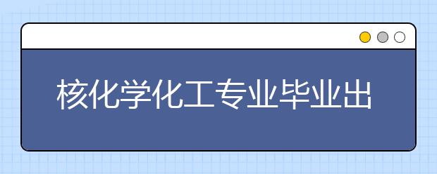 核化学化工专业毕业出来干什么？