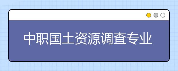 中职国土资源调查专业学出来有什么前途?