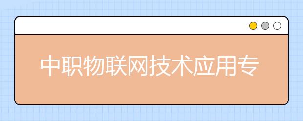 中職物聯(lián)網(wǎng)技術(shù)應(yīng)用專業(yè)學(xué)出來(lái)有什么前途?