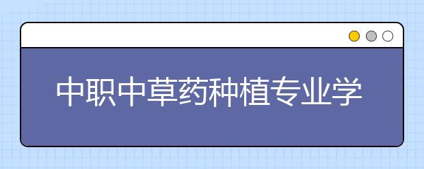 中職中草藥種植專業(yè)學出來有什么前途?