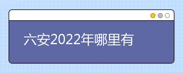 六安2022年哪里有卫校