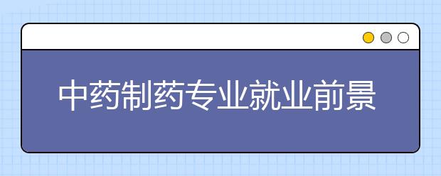 中藥制藥專業(yè)就業(yè)前景分析