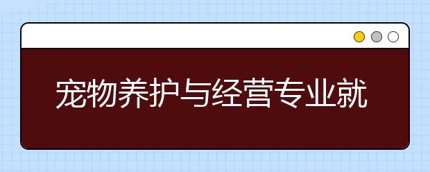 宠物养护与经营专业就业前景分析