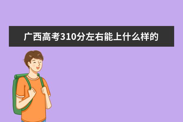 广西高考310分左右能上什么样的大学