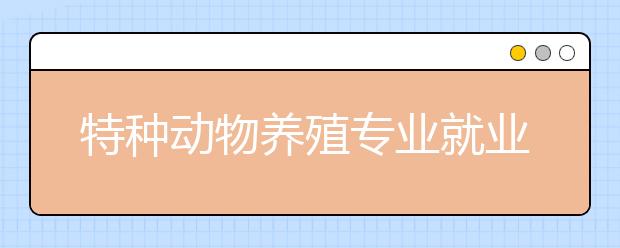 特种动物养殖专业就业前景分析