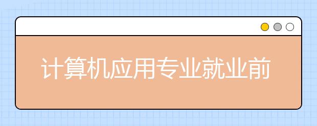 計(jì)算機(jī)應(yīng)用專業(yè)就業(yè)前景分析