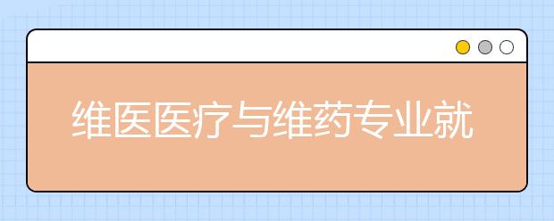 維醫(yī)醫(yī)療與維藥專業(yè)就業(yè)方向有哪些？