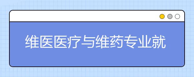 維醫(yī)醫(yī)療與維藥專業(yè)就業(yè)方向有哪些？