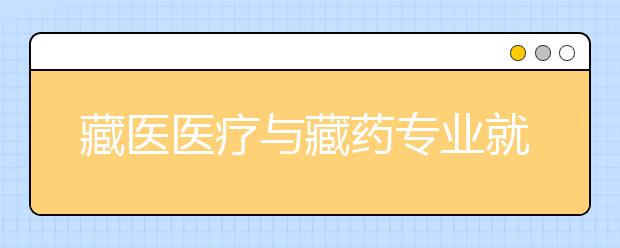 藏醫(yī)醫(yī)療與藏藥專(zhuān)業(yè)就業(yè)方向有哪些？