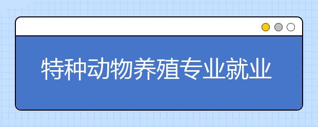 特種動(dòng)物養(yǎng)殖專業(yè)就業(yè)方向有哪些？