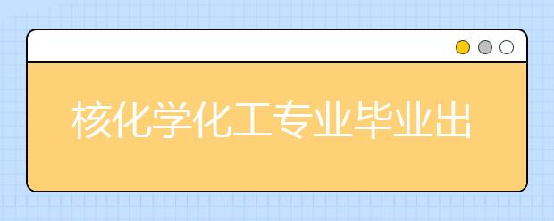 核化学化工专业毕业出来干什么？