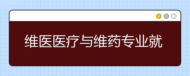 维医医疗与维药专业就业方向有哪些？