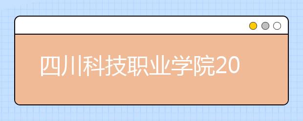 四川科技职业学院2022年排名