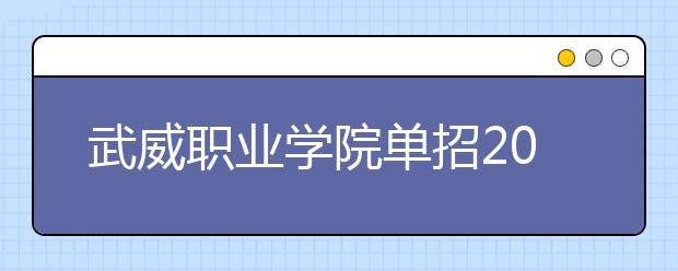 武威职业学院单招2020年单独招生有哪些专业