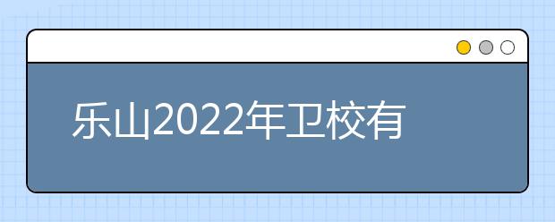 乐山2022年卫校有哪些专业最好