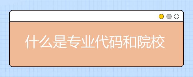 什么是专业代码和院校代码？